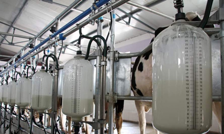 Rusija zabranila uvoz ukrajinskih mlječnih proizvoda