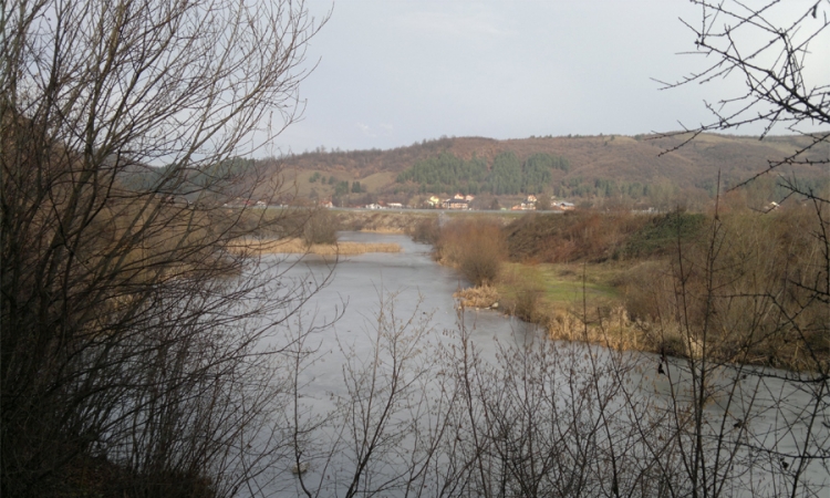 Ekološko zagađenje rijeke Bosne nizvodno od Zenice