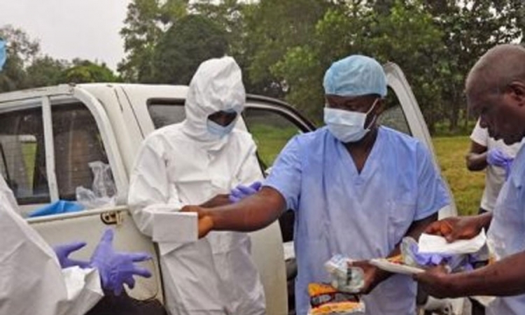 Razvijen polučasovni test za ebolu