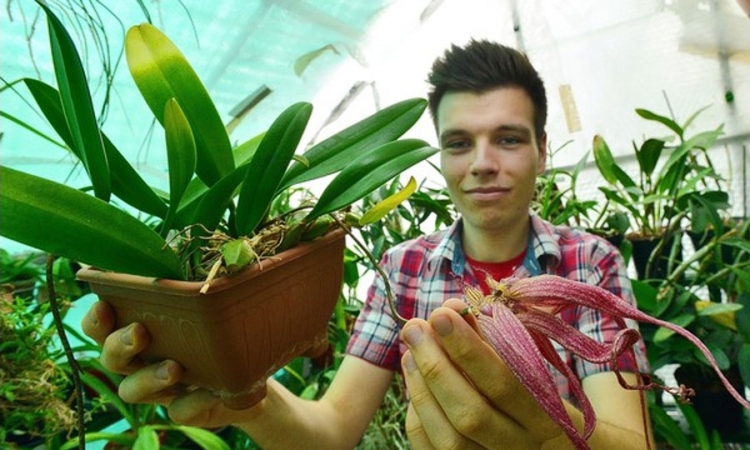  Mostarac vodeći stručnjak u svijetu orhideja