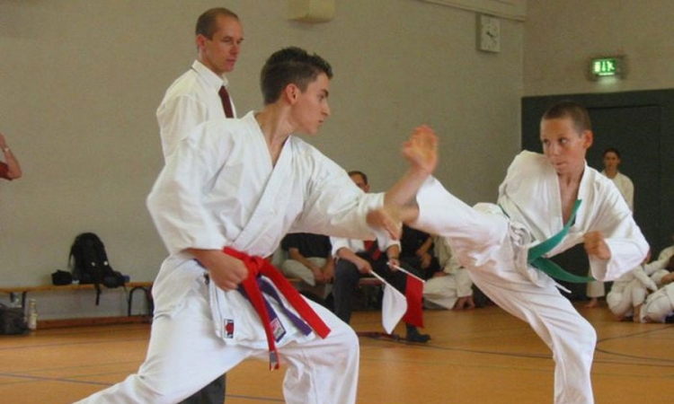 Postignut dogovor o formiranju Karate saveza BiH
