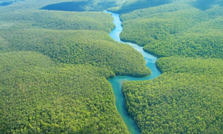 Brazil iz prašume prati klimatske promjene