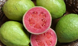 Portret namirnice: Guava