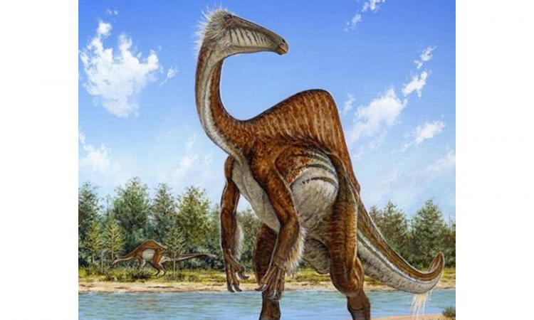  Dinosaurus zastrašujućih kandži bio u stvari nježni div