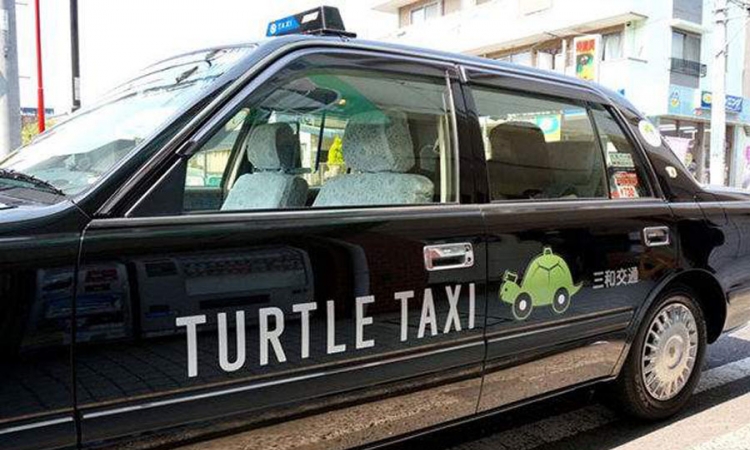 Kornjača taksi sve popularniji