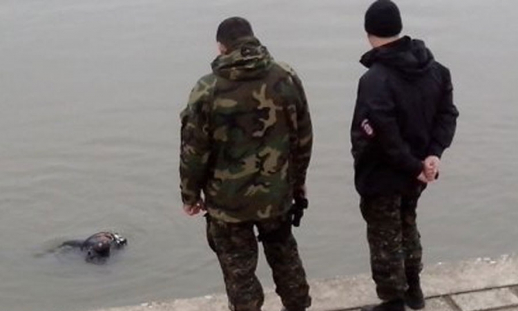 Tragedija: Šestoro mladih sletjelo u Dunav, troje se utopilo, troje isplivalo