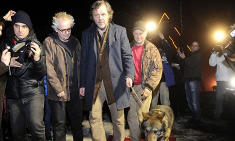 Crveni tepih, pravi vuk i filmski vukovi na Kustendorfu