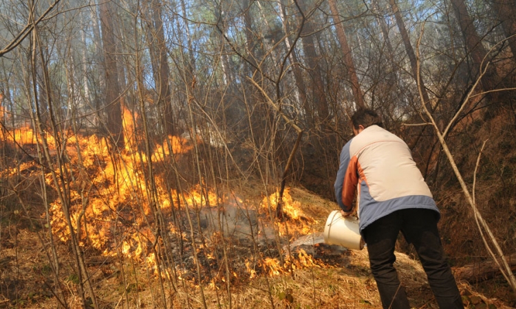 Izgorjelo 300 hektara niskog rastinja