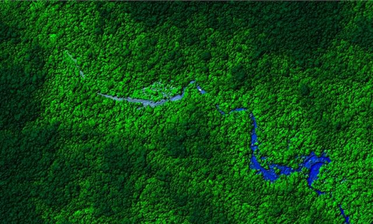 U džunglama Hondurasa pronađen drevni izgubljeni grad