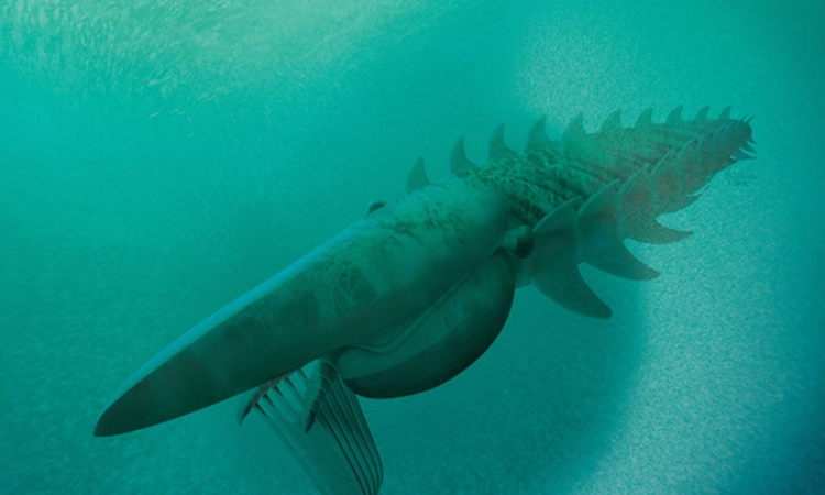 Otkrivena morska neman stara 480 miliona godina
