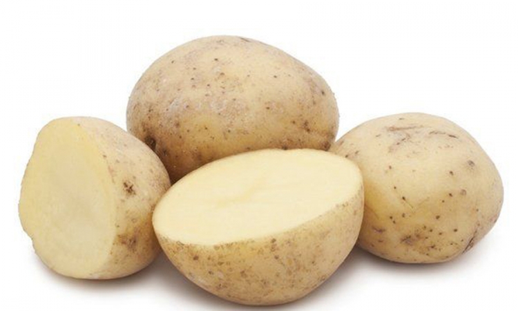 U SAD odobrene nove vrste GMO krompira i jabuka
