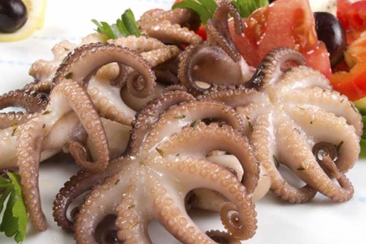 Predstavljamo namirnice: Hobotnica