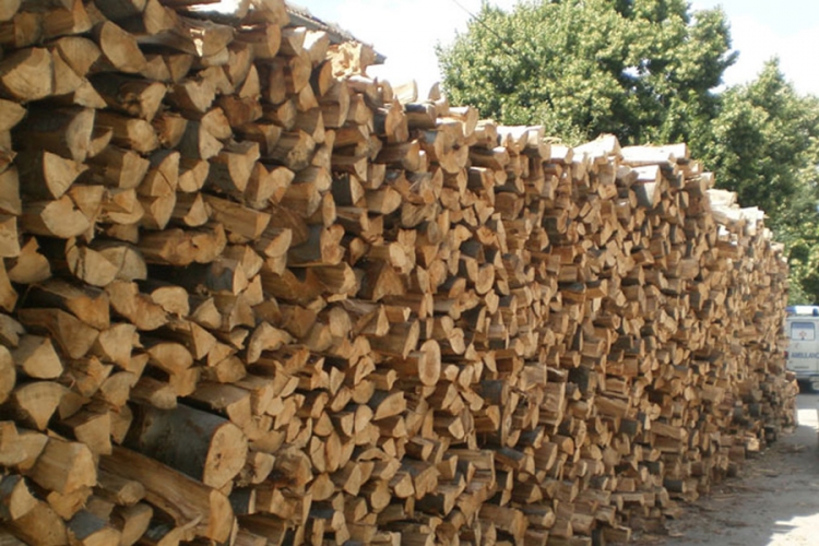 Mitrović: Ogrevno drvo na rate
