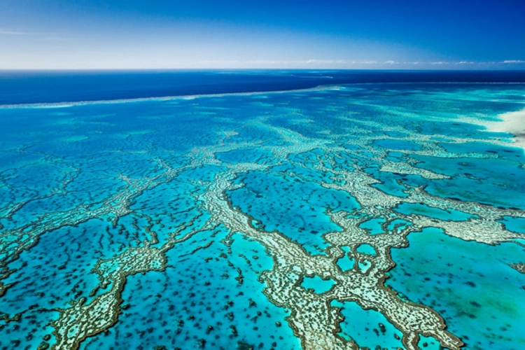 UNESCO odbio da stavi Koralni greben na listu ugroženih