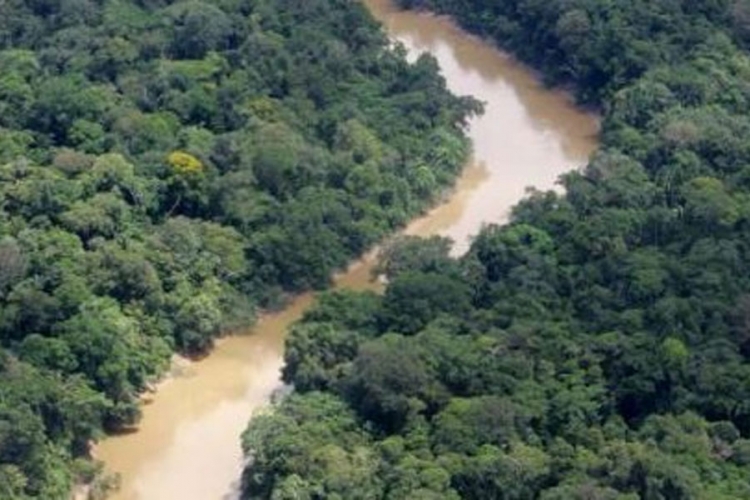 U Peruu će 23.000 hektara prašume biti spaljeno