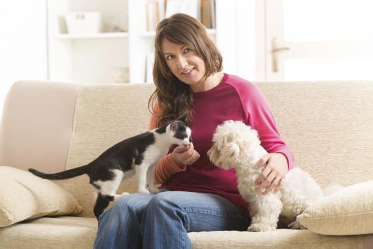 Zanimljive razlike između ljubitelja mačaka i pasa