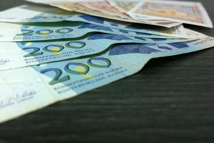 Dijaspora želi da investira u BiH
