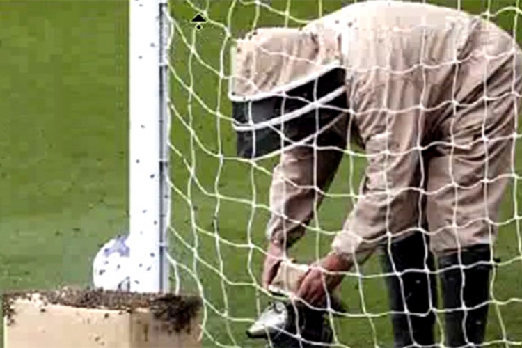 Umjesto lopte, u mreži je bio roj pčela (VIDEO)