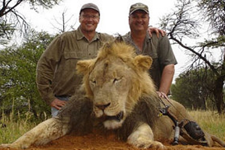 Ubio legendarnog lava Cecila: Internet se sveti ubici (VIDEO)