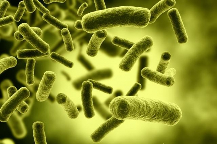 Bakterije otporne na antibiotike postale su još opasnije