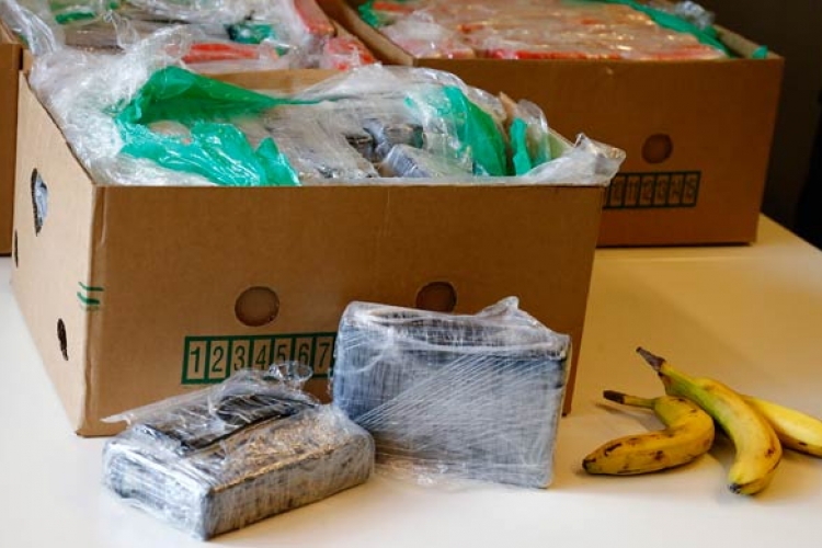Njemačka: Kokain u kutijama sa bananama