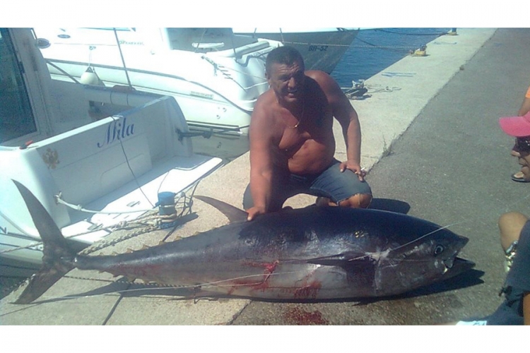 Barski ribolovac ulovio tunu tešku 133 kg