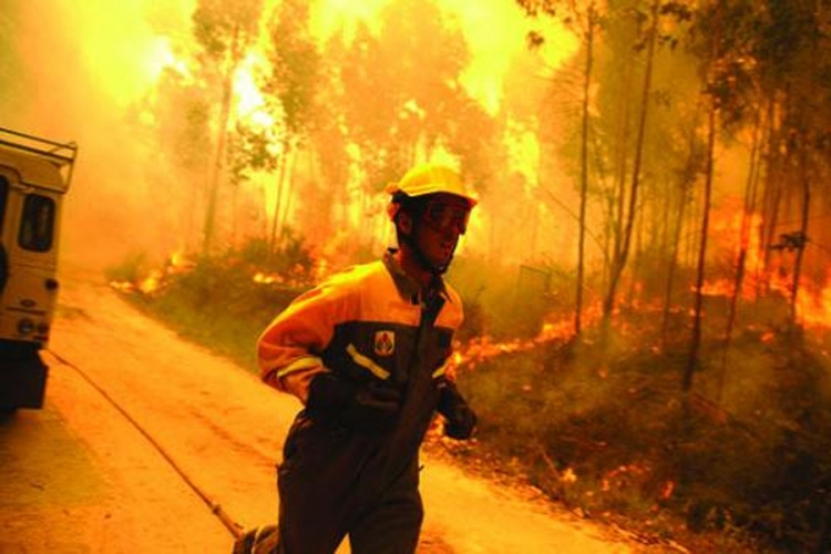 Portugal: 500 vatrogasaca u borbi protiv vatrene stihije