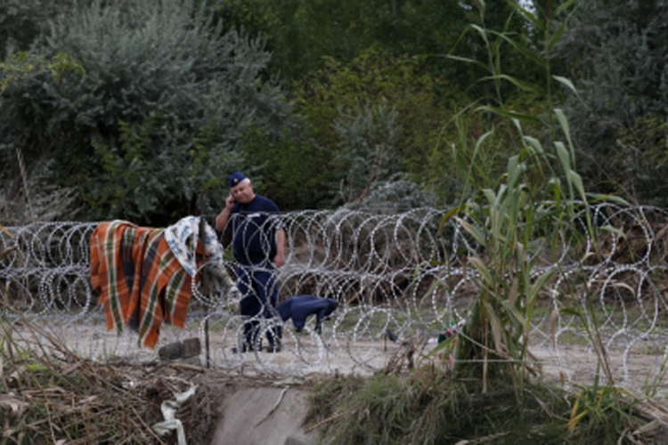 Mađarska gradi drvenu barijeru na granici sa Srbijom