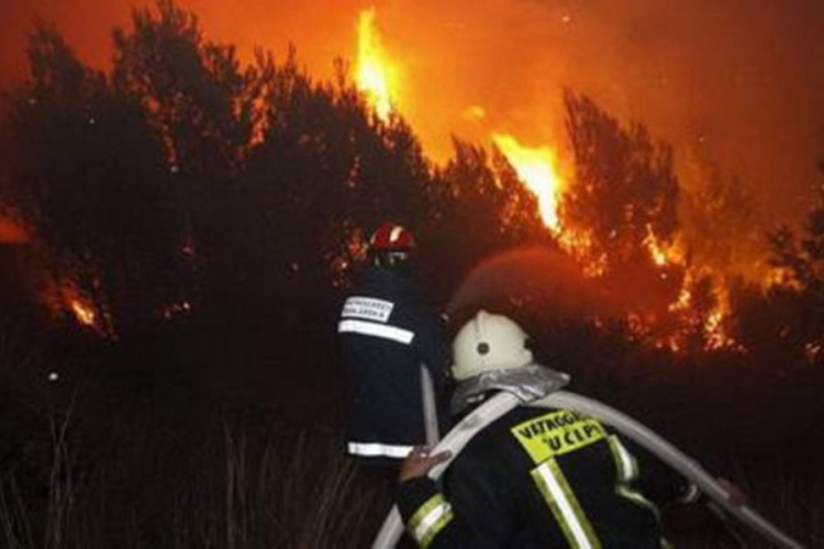 Požar kod Tučepa: Vatrena stihija progutala 50 hektara šume