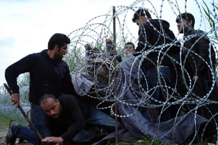Mađarska: 83 ilegalna prelaska granice sa Srbijom