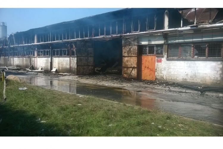 Zavidovići: Požar u Krivaji nije podmetnut, šteta 10 miliona KM?