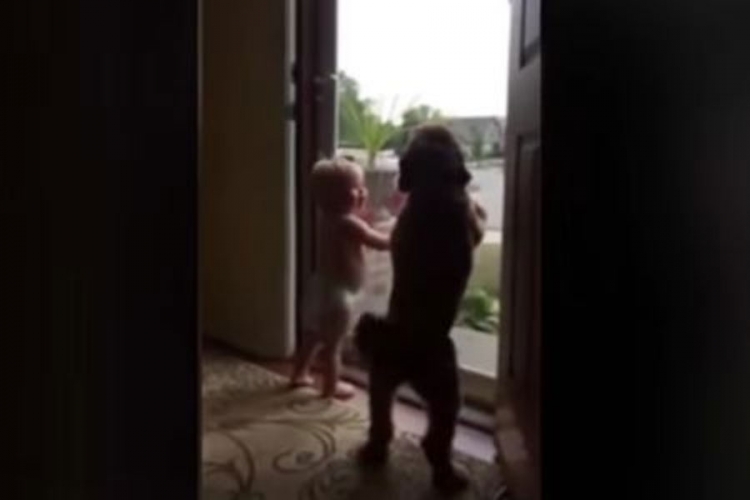 Stiže tata: Pogledajte reakciju bebe i psa kada vide tatin automobil (VIDEO)
