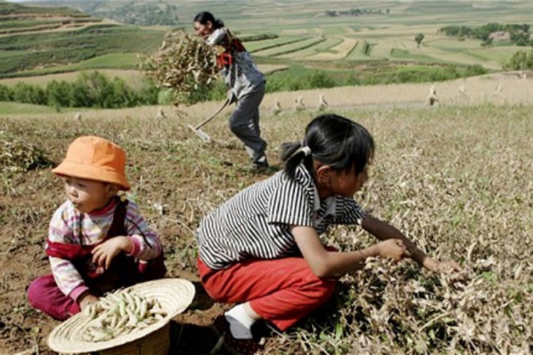 Kina: Godišnja zarada većine ruralnog stanovništva manja od 360 dolara