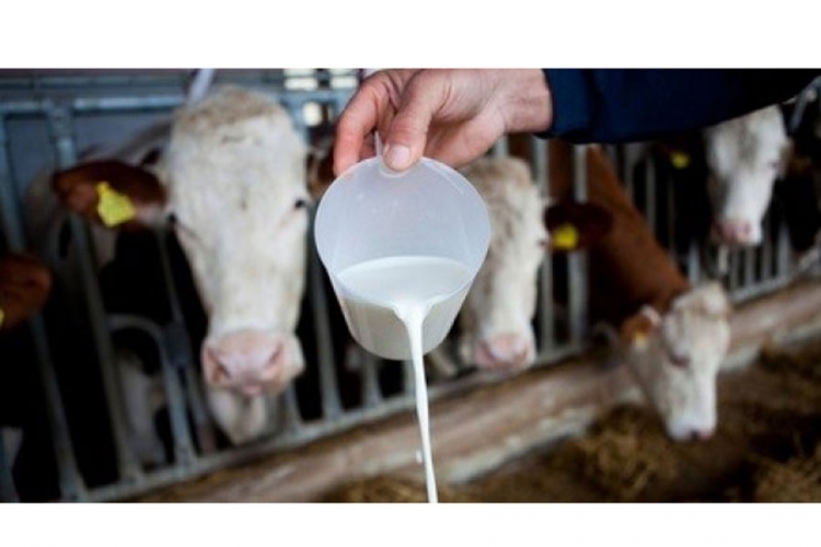 Radić: Pijemo zdravo mlijeko, nema straha od aflatoksina u BiH