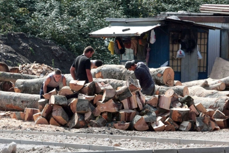 Proizvodnja šumskih sortimenata u BiH veća za 16 odsto