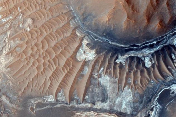 Život na Marsu moguć: Gljivice preživjele 18 mjeseci u svemiru