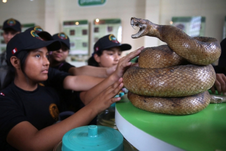 Muzej zmija otvoren u Peruu