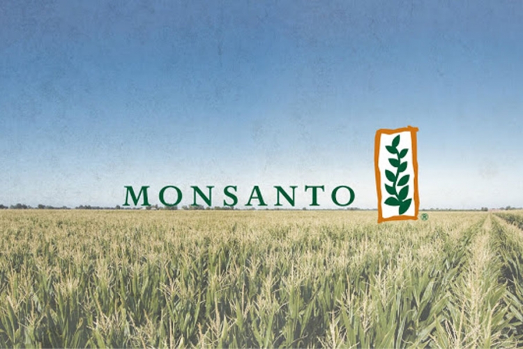 Monsanto plaća 80 miliona dolara da izbjegne kazne


