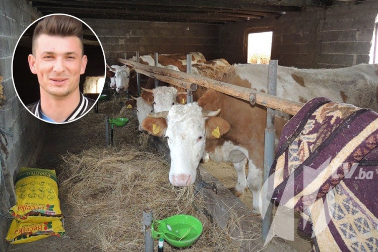 Upoznajte Abida Malića, mladog i uspješnog poljoprivrednika iz Srebrenice