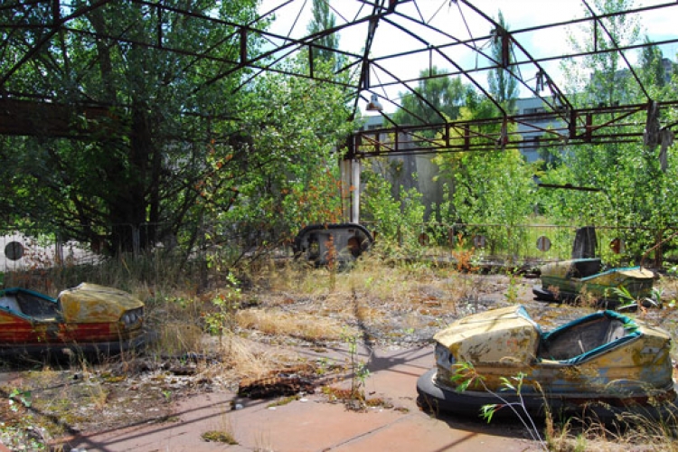 Povratak životinjskih vrsta u Černobilj