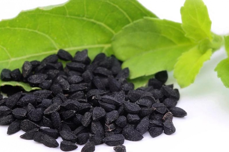 Crni kim – lijek za sve i najjači borac protiv alergije