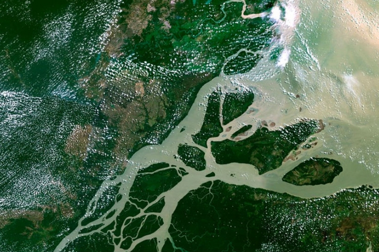 U delti Amazona otkriven veliki koralni greben 