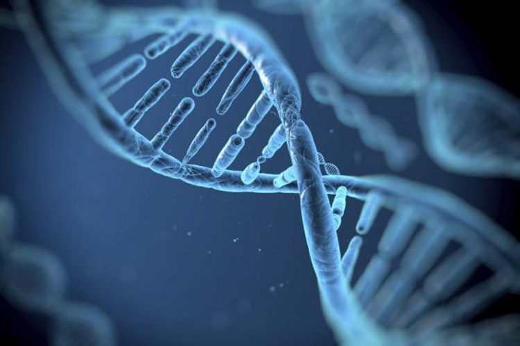 Microsoft kupuje DNK ćelije za skladištenje podataka