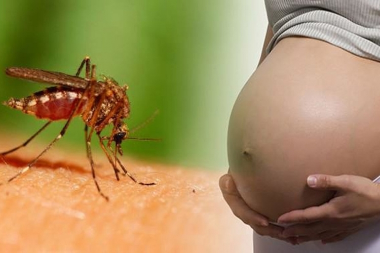 Španija: Prvi slučaj fetusa zaraženog virusom zika