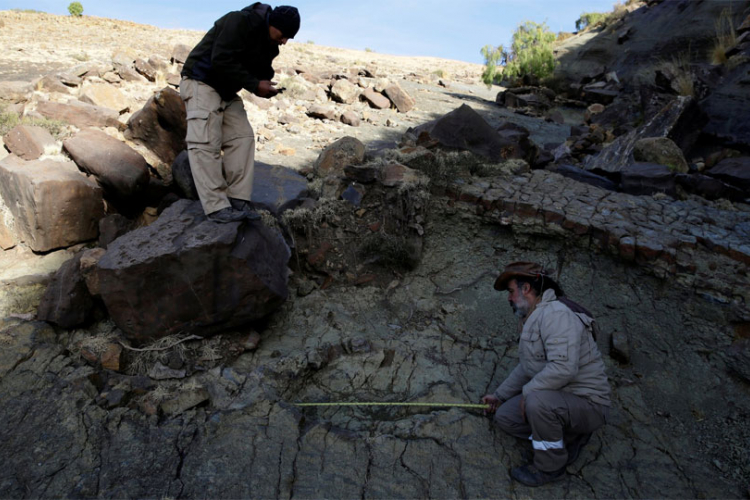 Pronađen najveći otisak stopola dinosaurusa u Boliviji