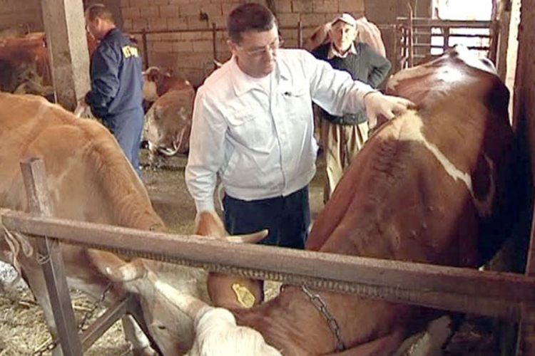 Farmeri: Važna prevencija bolesti kvrgave kože goveda