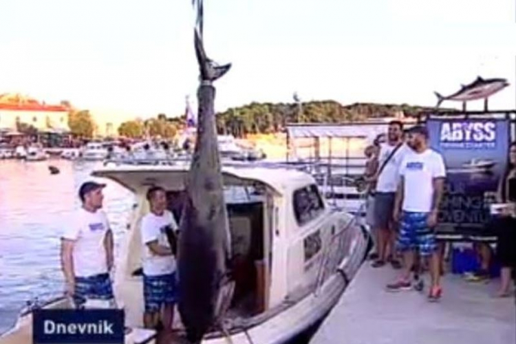 U hrvatskom dijelu Jadrana ulovljena najveća riba u istoriji