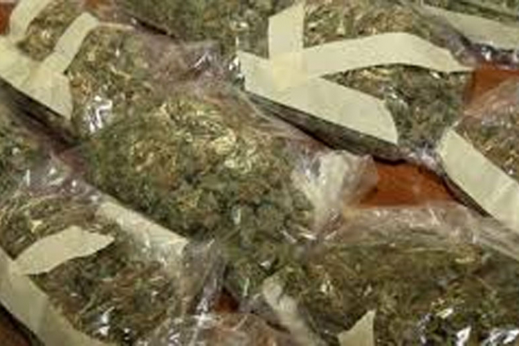Srbija: Zaplijenjeno 36 kilograma marihuane