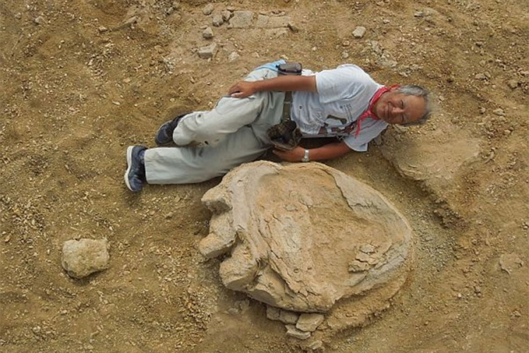 Džinovski otisak titanousaura pronađen u pustinji Gobi
