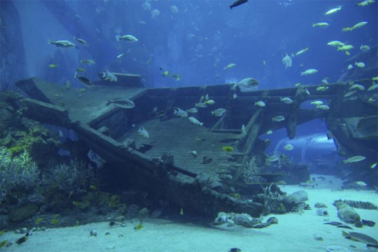 Naučnici otkrili zapanjujuće podvodno "groblje"